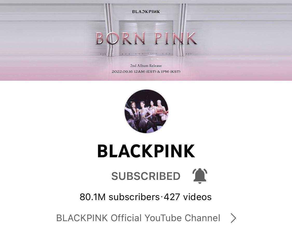 BLACKPINK 80M Subs 🖤💗 | BLINK (블링크) Amino