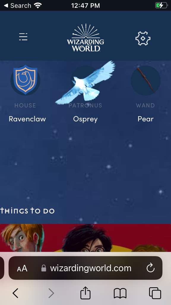 I just did my Wizarding world test | Harry Potter Amino