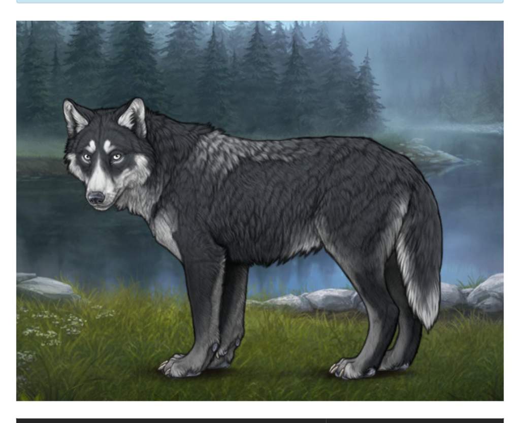 Darkriver | Wiki | Wolvden 🐾 Amino