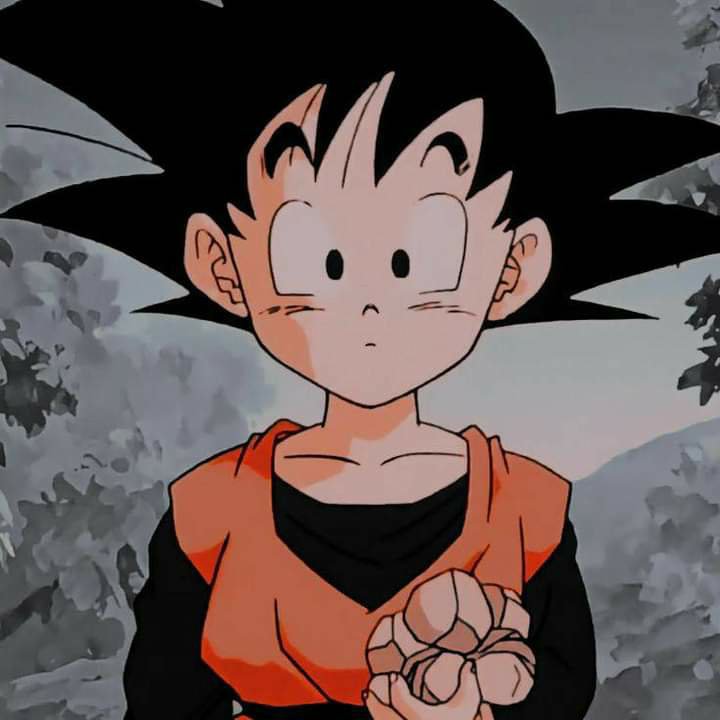 Goten💫 | Wiki | DRAGON BALL ESPAÑOL Amino