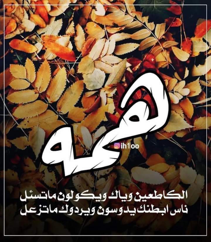 🥀 | Wiki | ملوك الفن والعشق Amino