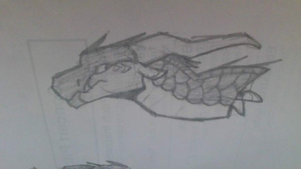 Sketches Wings Of Fire Amino