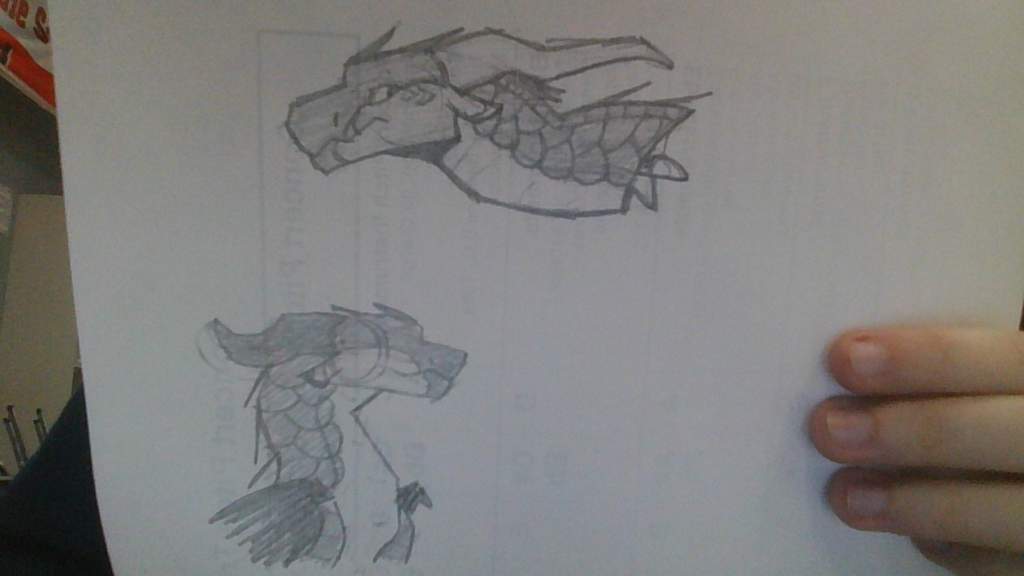 Sketches Wings Of Fire Amino