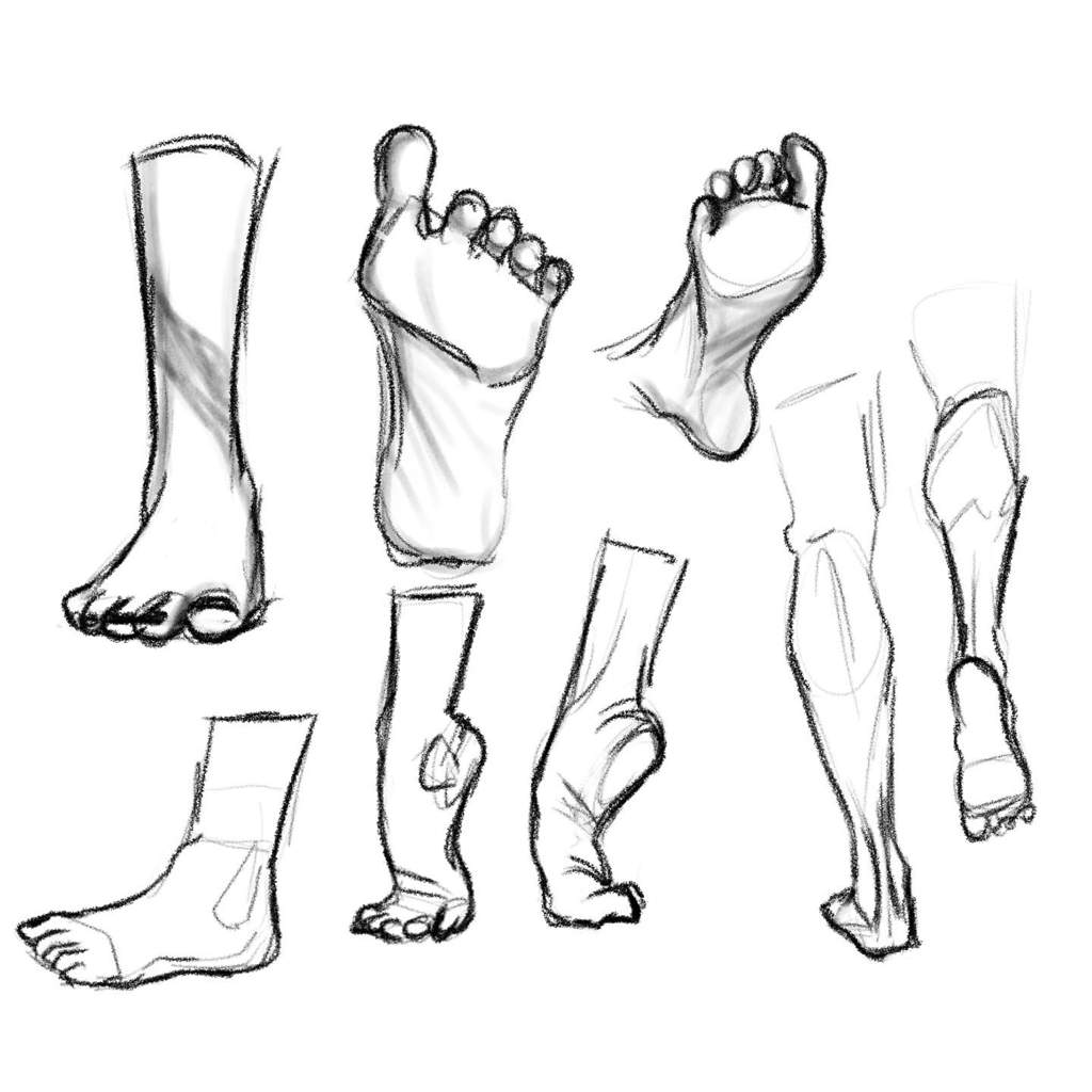 hands-and-feet-figure-studies-art-amino