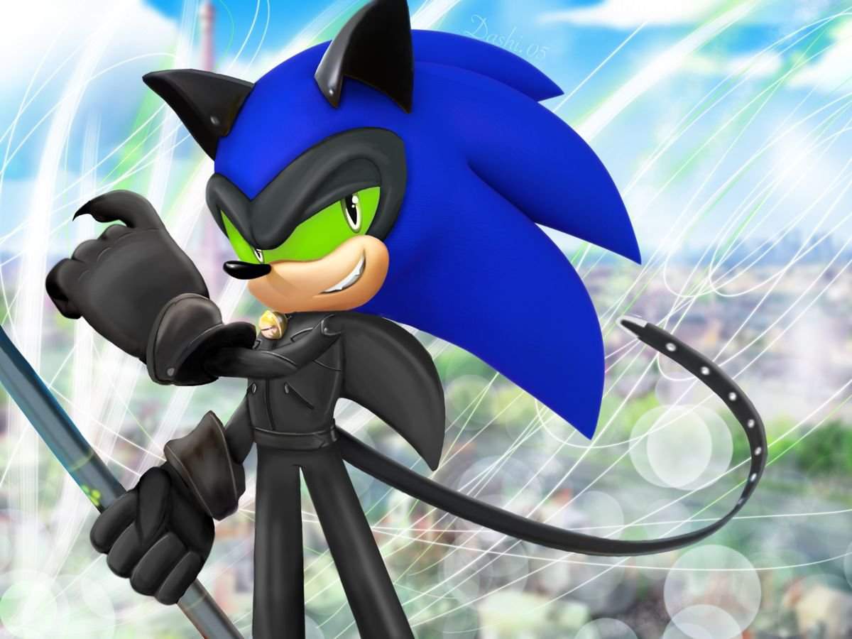 Heh i am sonic noir | Miraculous sonic noir Amino