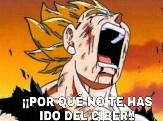 Shitpost del ciber | DRAGON BALL ESPAÑOL Amino