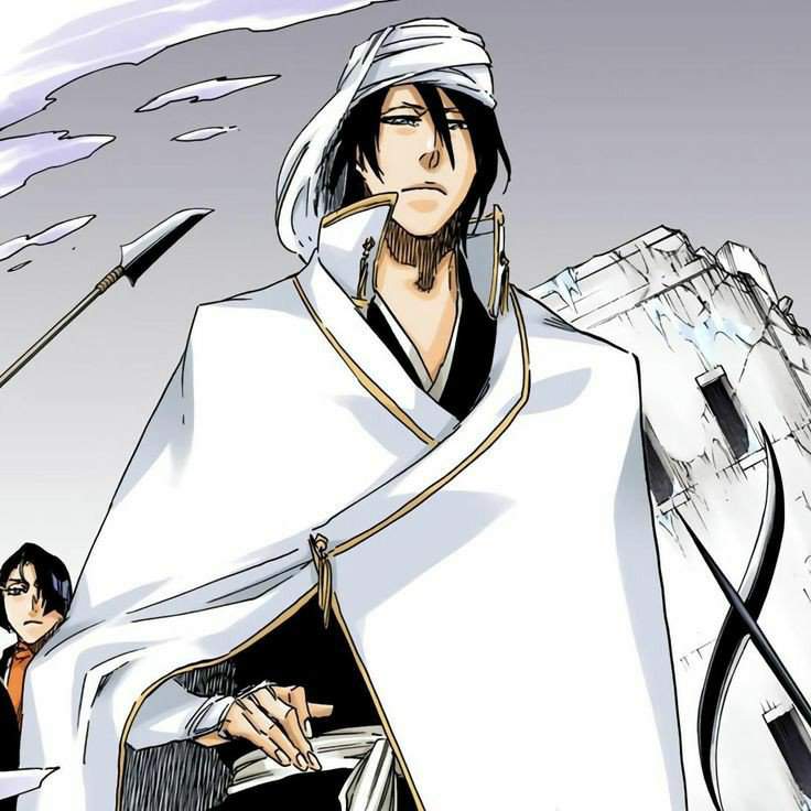 Byakuya Kuchiki | Wiki | •Anime• Amino