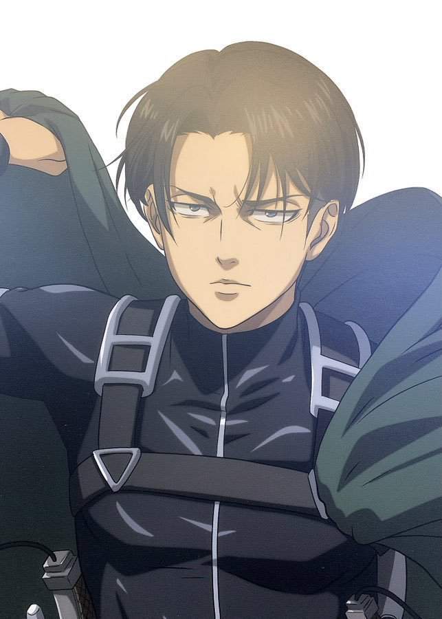 Where are the Levi simps | Anime Amino