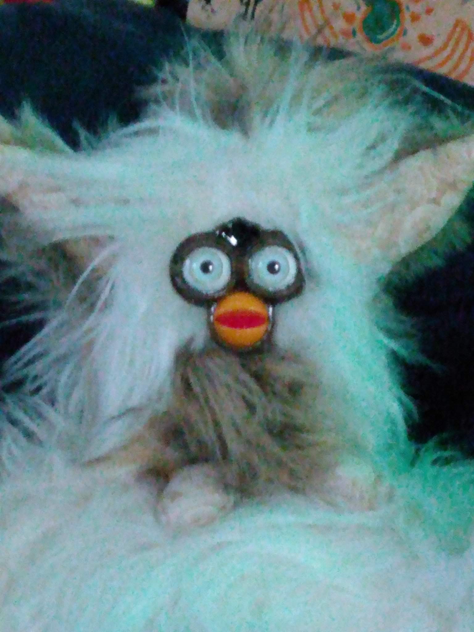 his name is feet 🪐 | Furby Amino