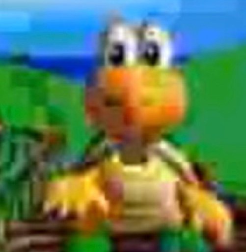 Low Quality Koopa 