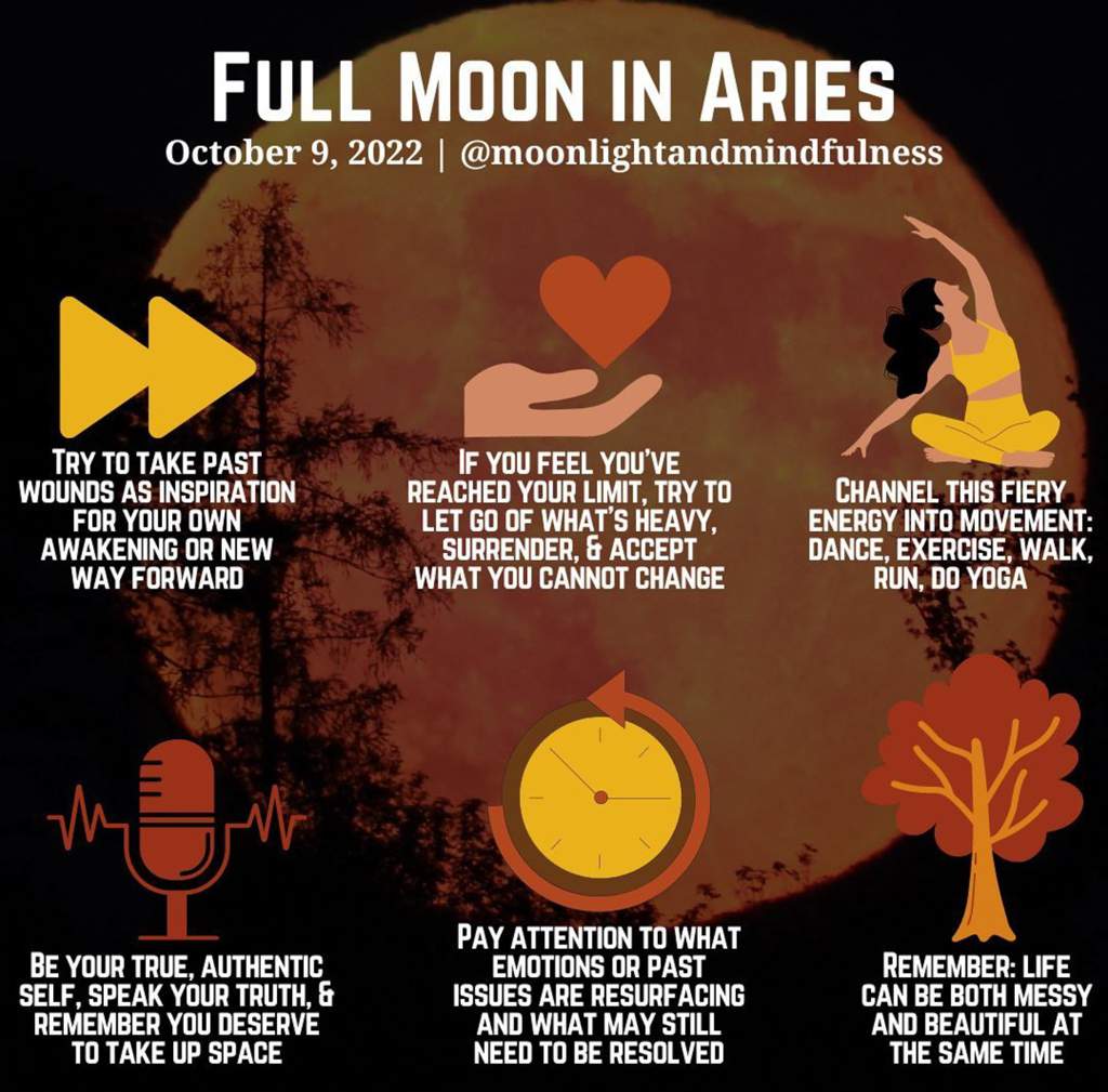 tonights-special-moon-magic-life-coven-amino