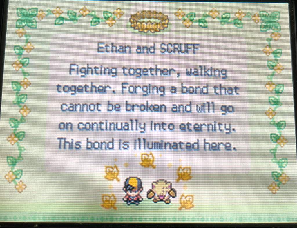 My ribbon Primeape (Scruff) Pokémon Amino