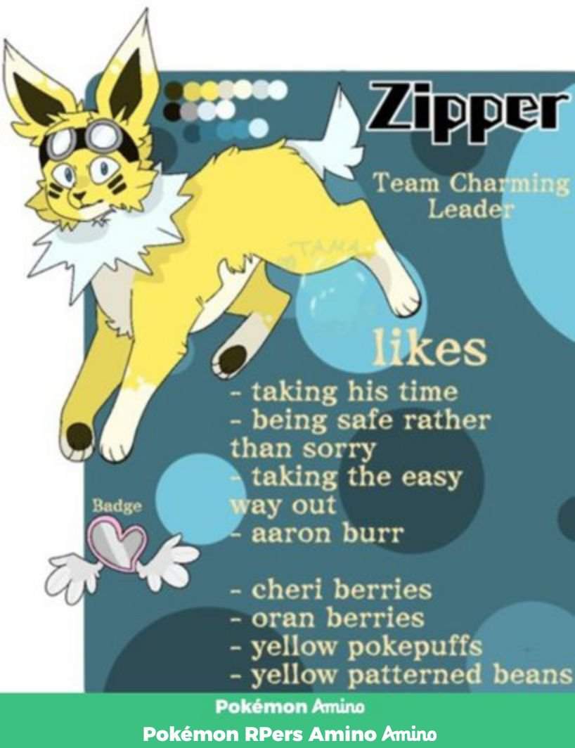 Zipper (my oc) | Wiki | Pokémon Amino