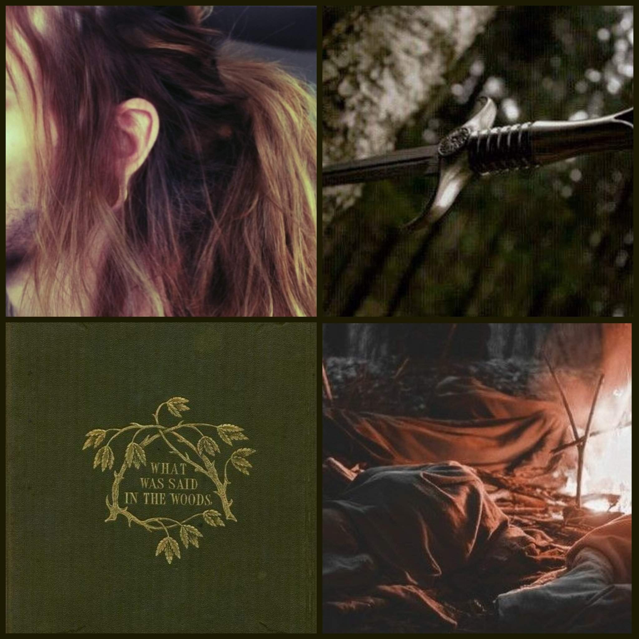 Roann | Wiki | The Witcher Amino Amino