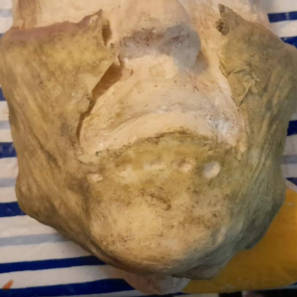 Billy Butcherson. Cheekbones/chin prosthetic made by me. Hair is my