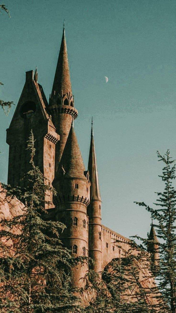 Hogwarts School of Witchcraft and wizardry DISCORD SERVER | Discord Amino