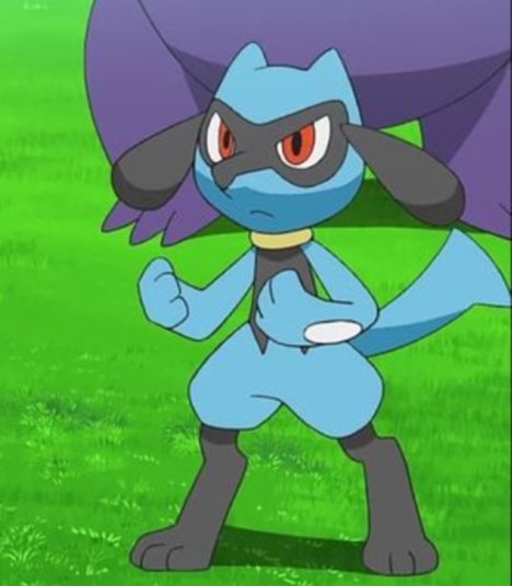 Riolu | Wiki | Pokémon Rp: Shintaku Region Amino