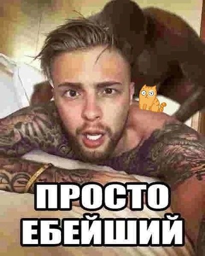 Крид смешные фото