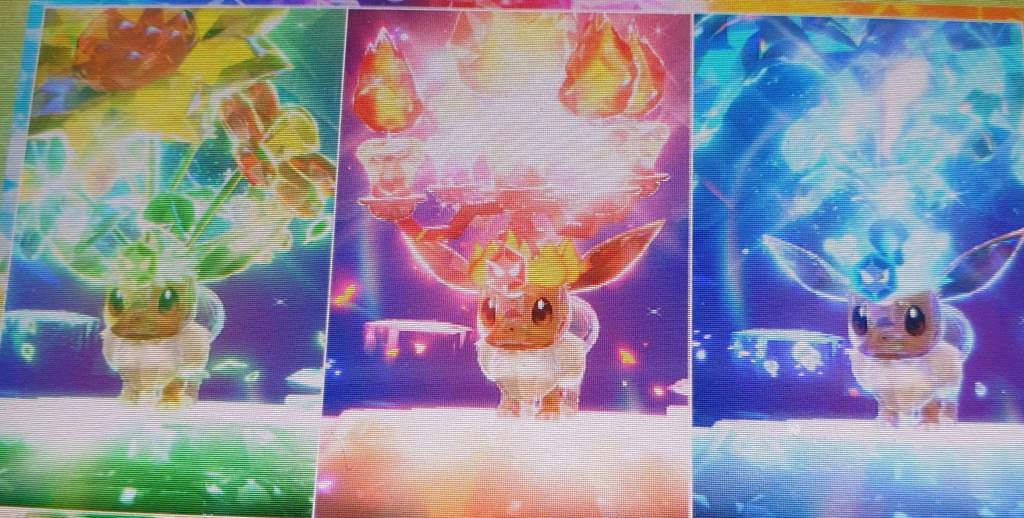 Evoli Tera-Raid-Event in Pokémon Karmesin und Purpur | Pokémon GO ...