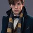 amino-newt scamander-8e08e482