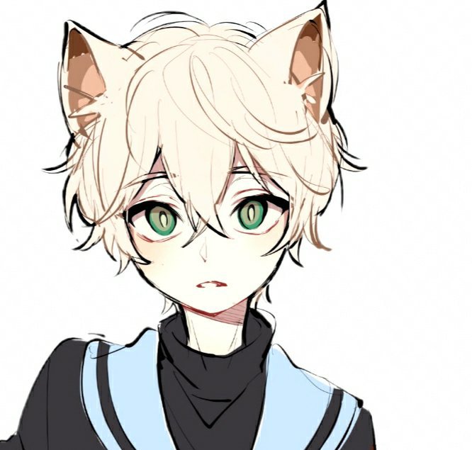 Shiro Kako | Wiki | Roleplay Amino