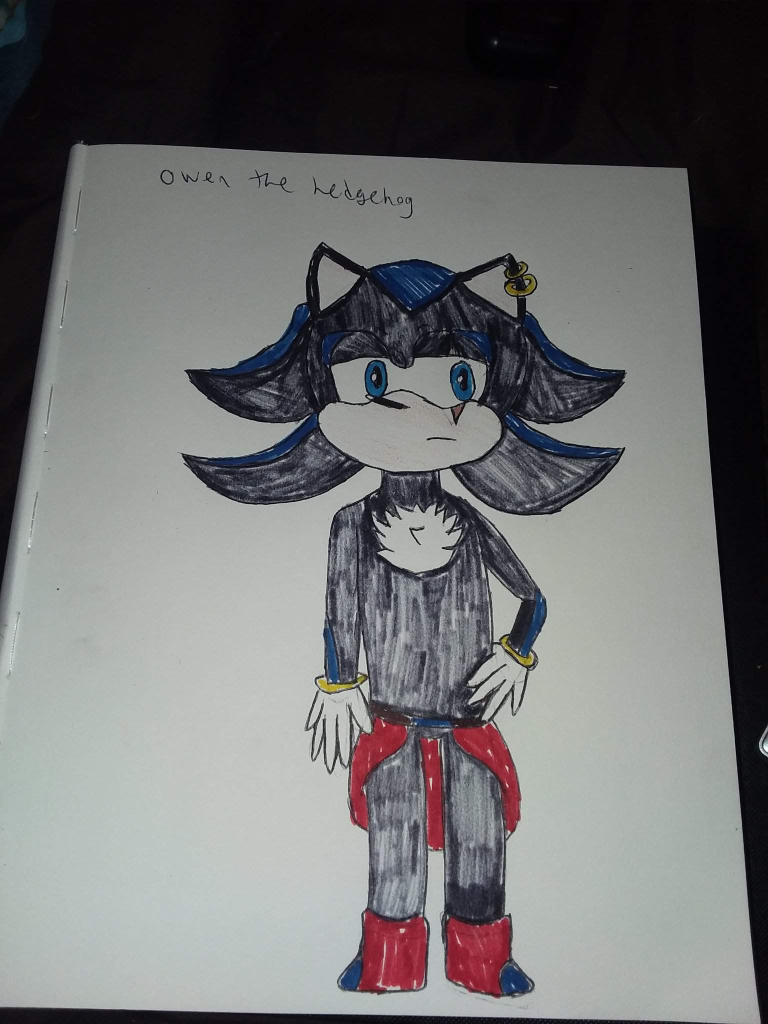 Owen the Hedgehog | Wiki | Sonic the Hedgehog! Amino