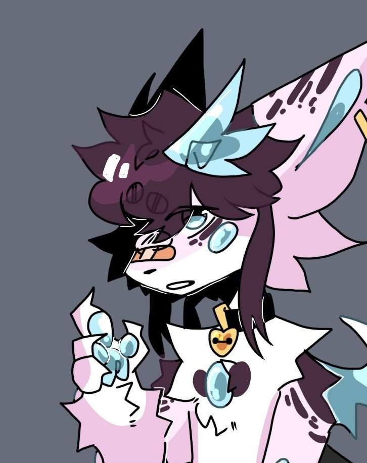 Roxy | Wiki | Toxacat species Amino