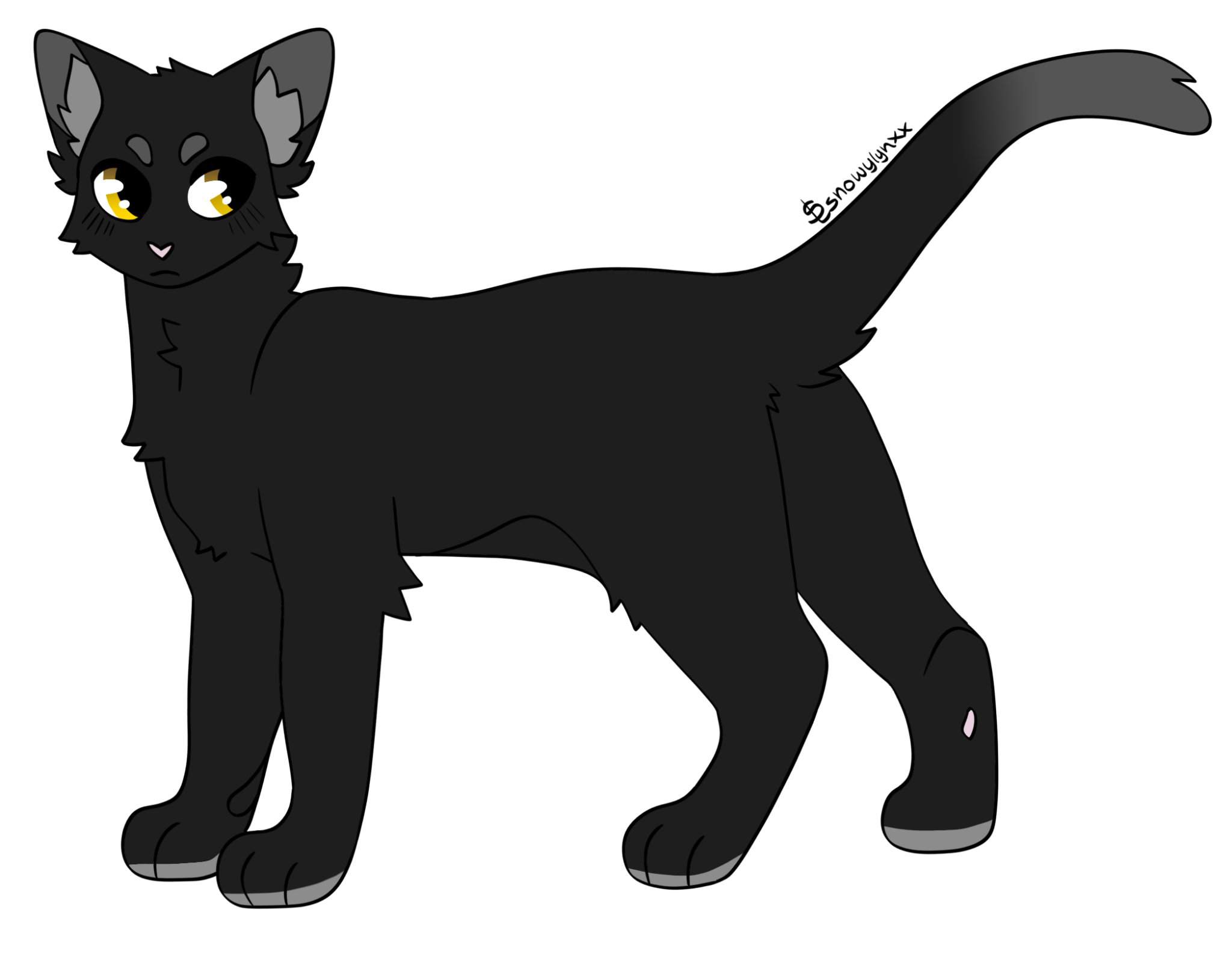 Ghostpaw | Wiki | Warrior Cats🐾🐾 Amino