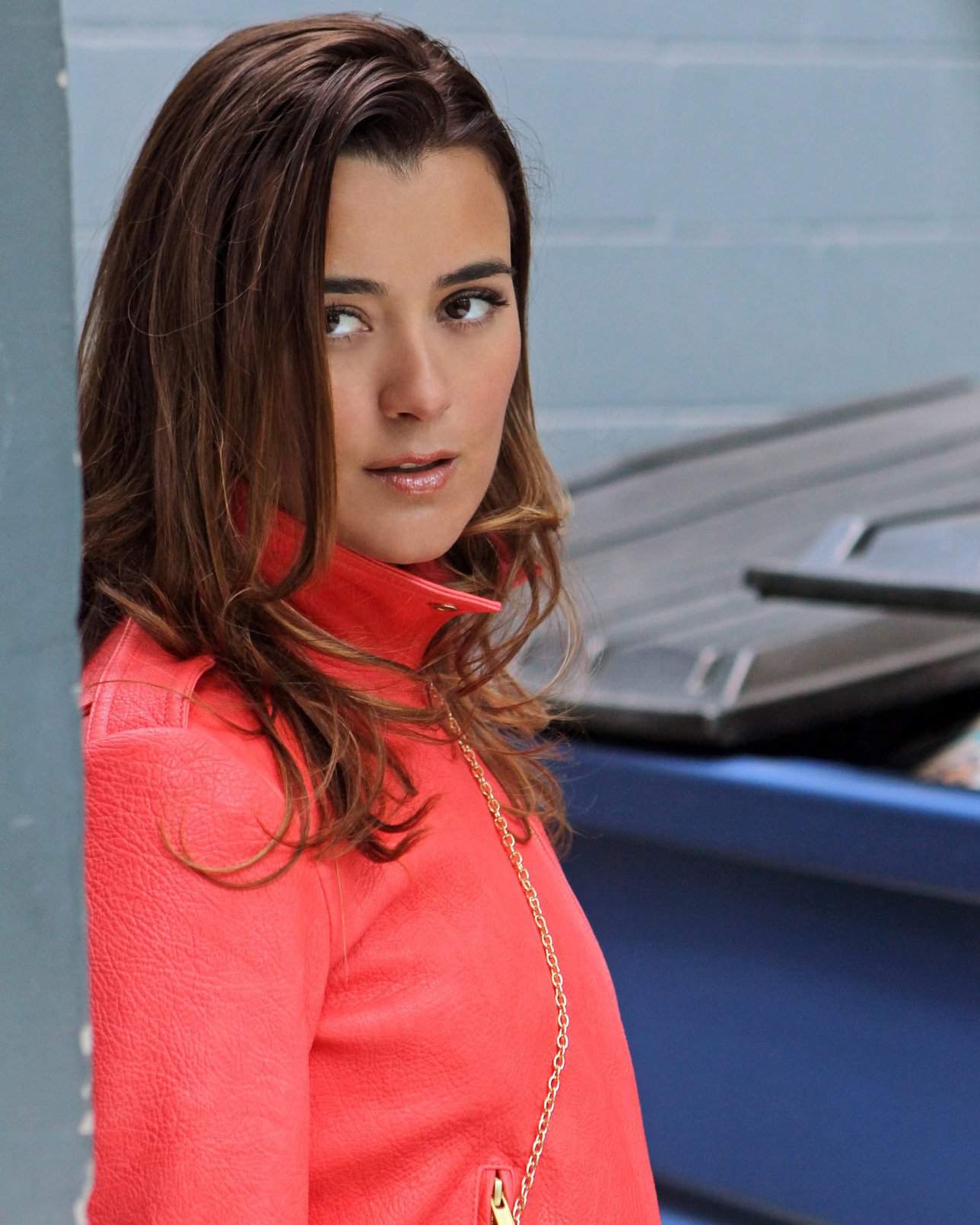 Agent Ziva David | Wiki | NCIS Amino