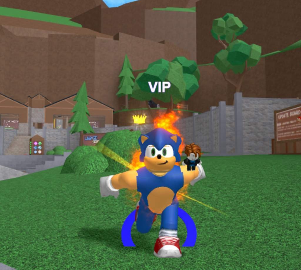 É oficial!!!!!!! Skin do sonic no Roblox ouriço frito kkkkkkk | Sonic ...