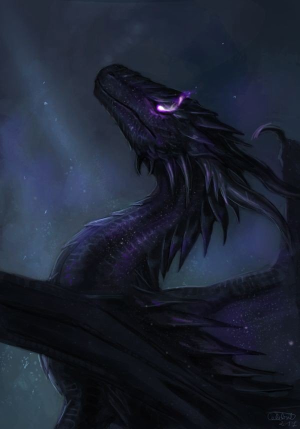 Void Dragons | Wiki | Shapeshifter Haven Amino