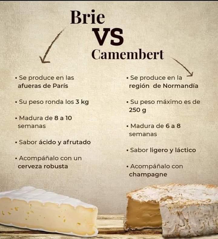 Diferencias Entre El Queso Brie Y El Camembert | Cocina Amino Amino