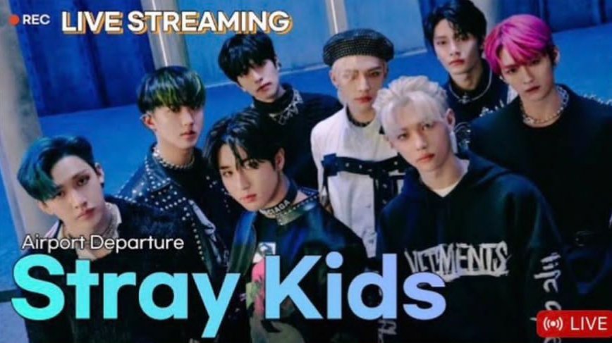 Information. | Stray Kids Amino