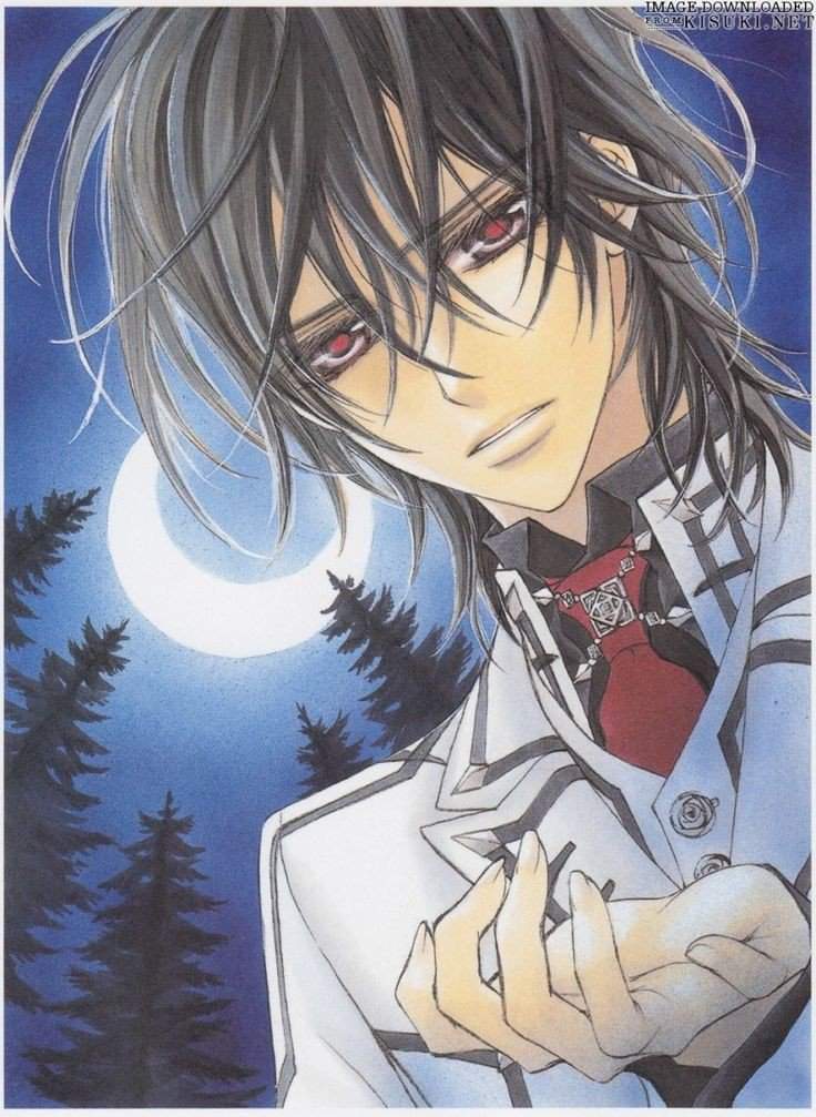 What do you like about Kaname Kuran? | Vampire_Knight Amino