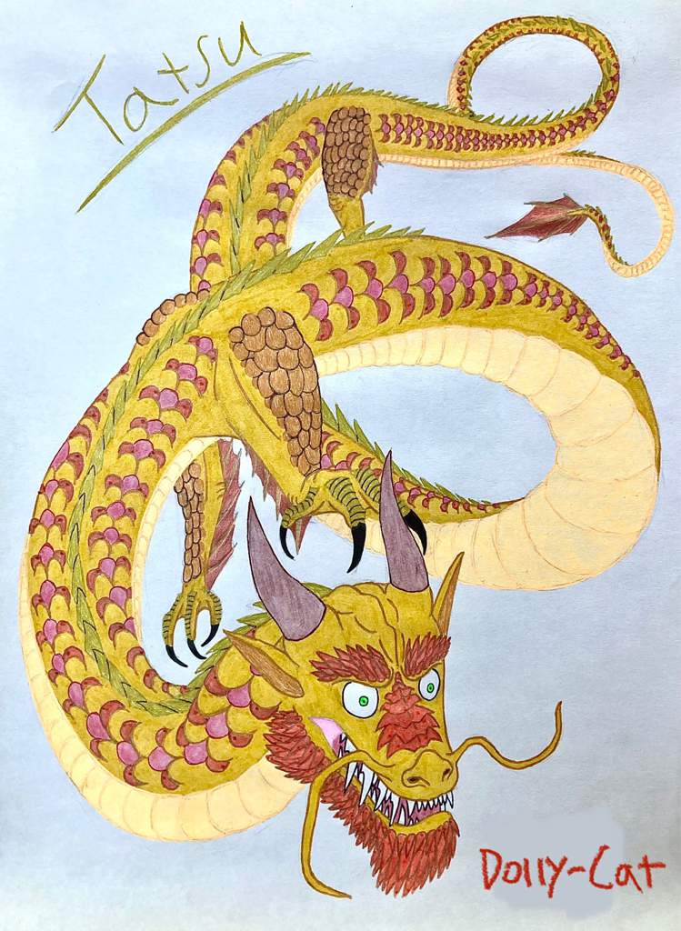 Tatsu Dragon | Mythology & Cultures Amino