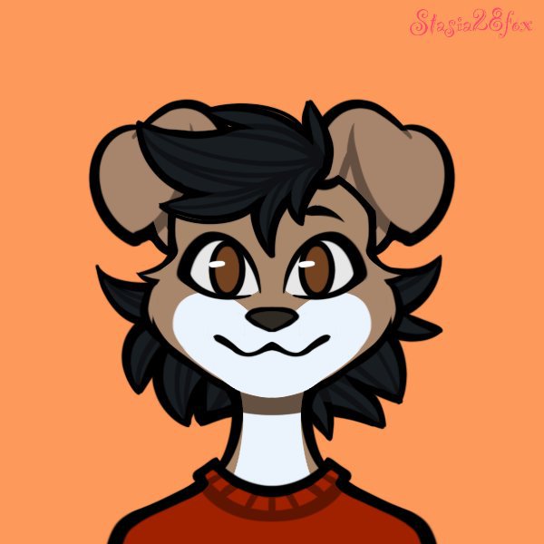 🍡 | Wiki | Furry Amino