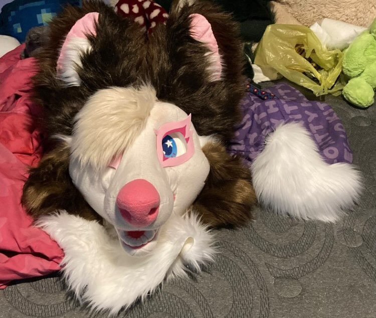 Missing fursuit head! Please contact me if you have seen it for sale or ...