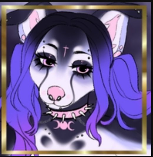 𝖄𝖚𝖓𝖔 💞 | Wiki | 💖Furry💖 Amino