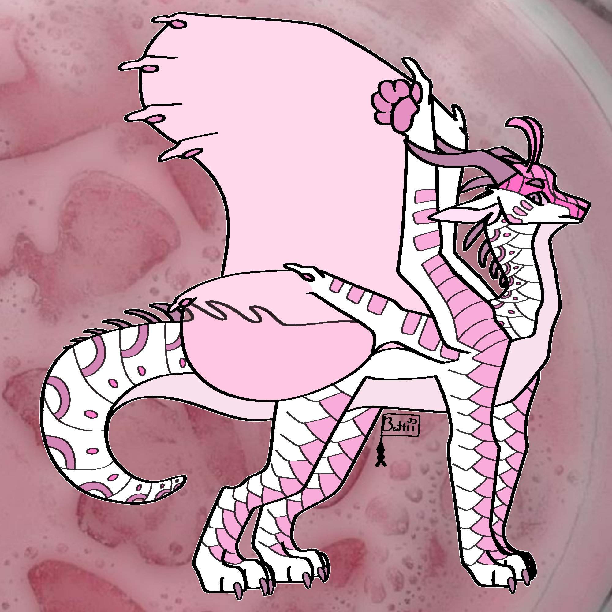 Pale pink butterflies Silkwing adopt -- 170 AC | Wings Of Fire. Amino