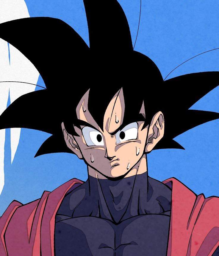 Xeno Goku | Wiki | DragonBallZ Amino