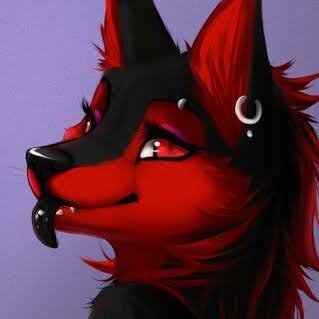 Zoe | Wiki | Style Furry Amino