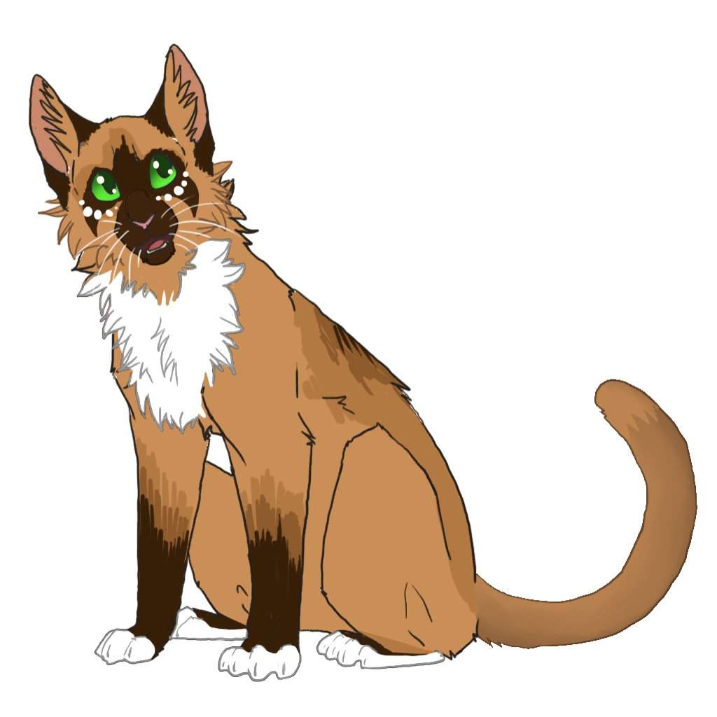 Warrior cats Rp | Wiki | German Warrior Cats Amino