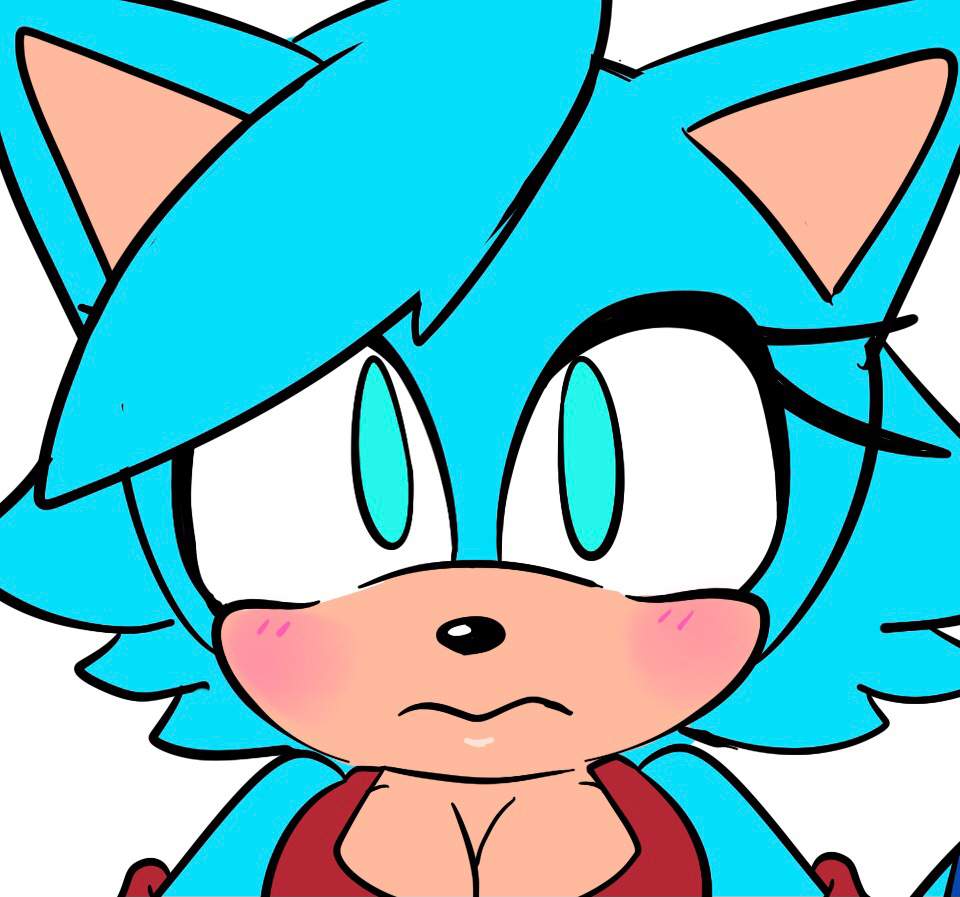 Willow The Cat Wiki Sonic The Hedgehog Amino